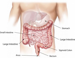 Poradnia gastrologiczna